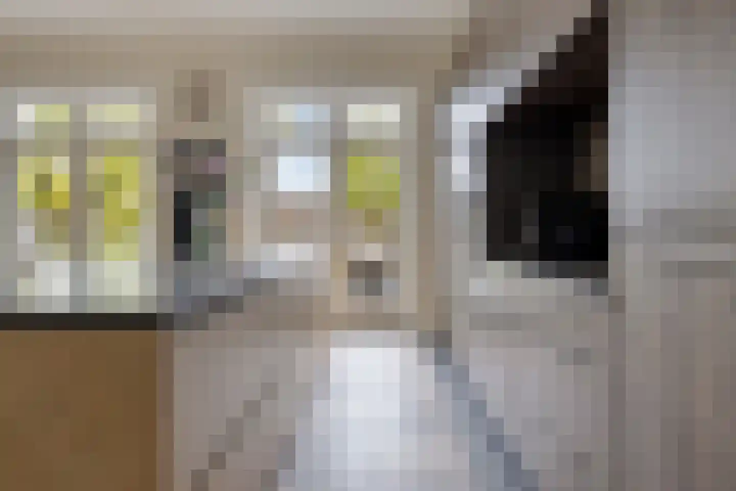 Kapelstraat 30 Elshout thumbnail 16