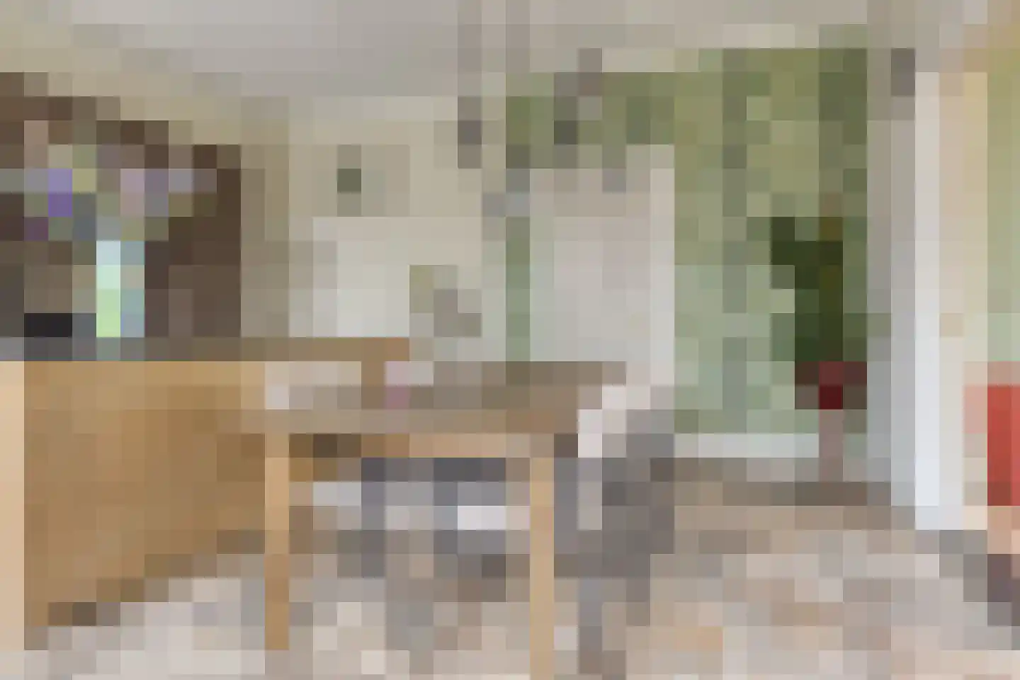 Kapelstraat 30 Elshout thumbnail 18