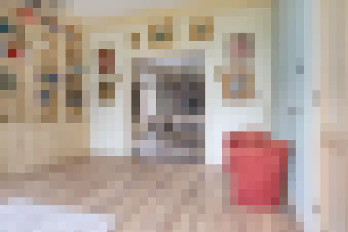 Kapelstraat 30 Elshout thumbnail 21