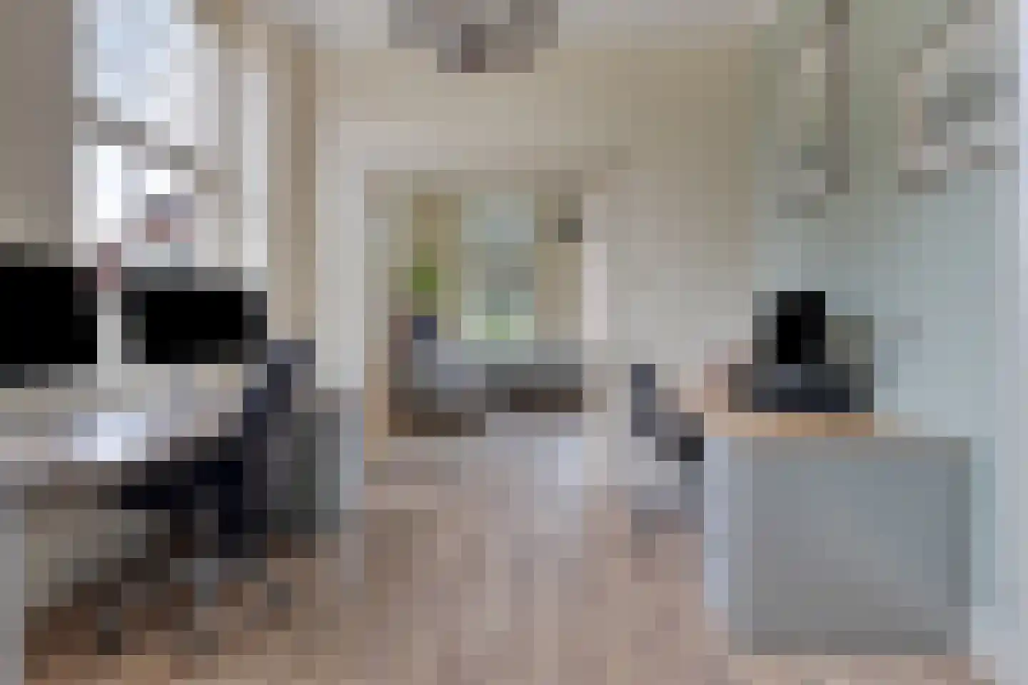 Kapelstraat 30 Elshout thumbnail 28