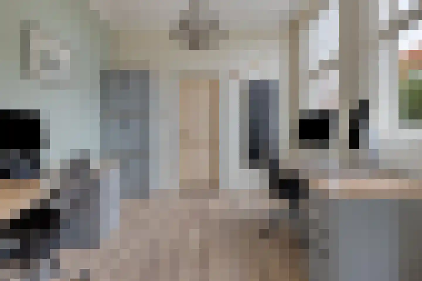 Kapelstraat 30 Elshout thumbnail 29