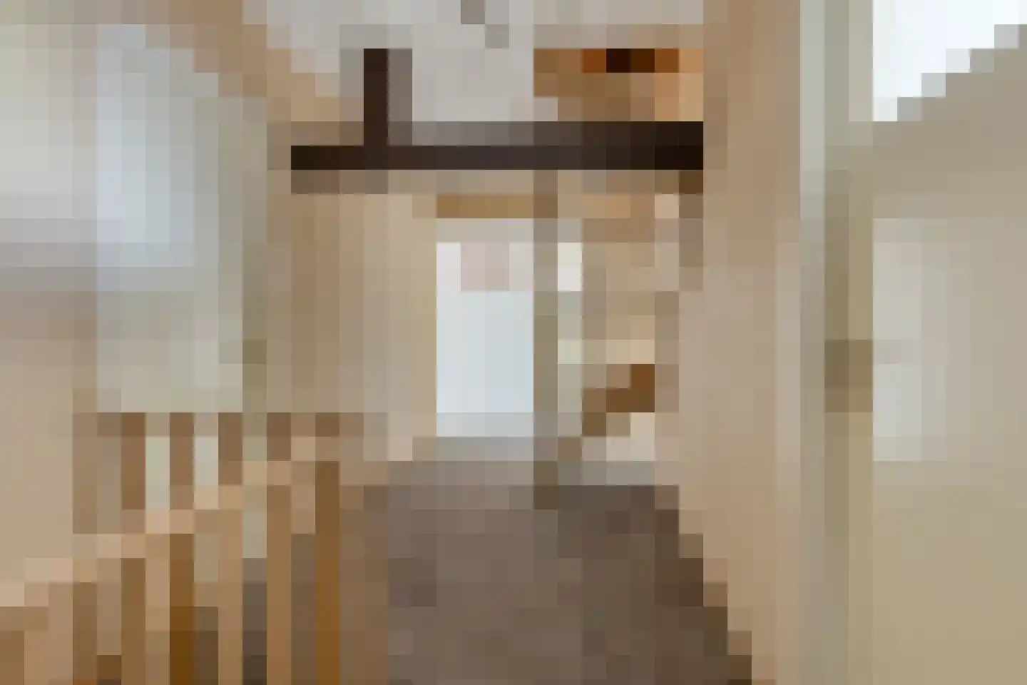 Kapelstraat 30 Elshout thumbnail 30