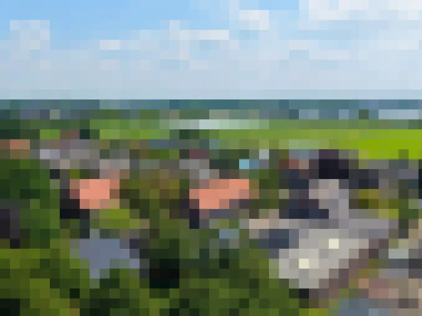 Kapelstraat 30 Elshout thumbnail 4