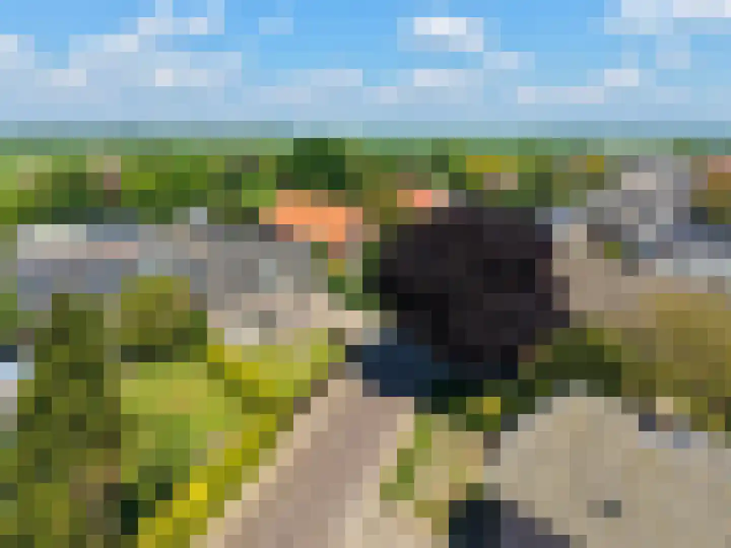 Kapelstraat 30 Elshout thumbnail 5
