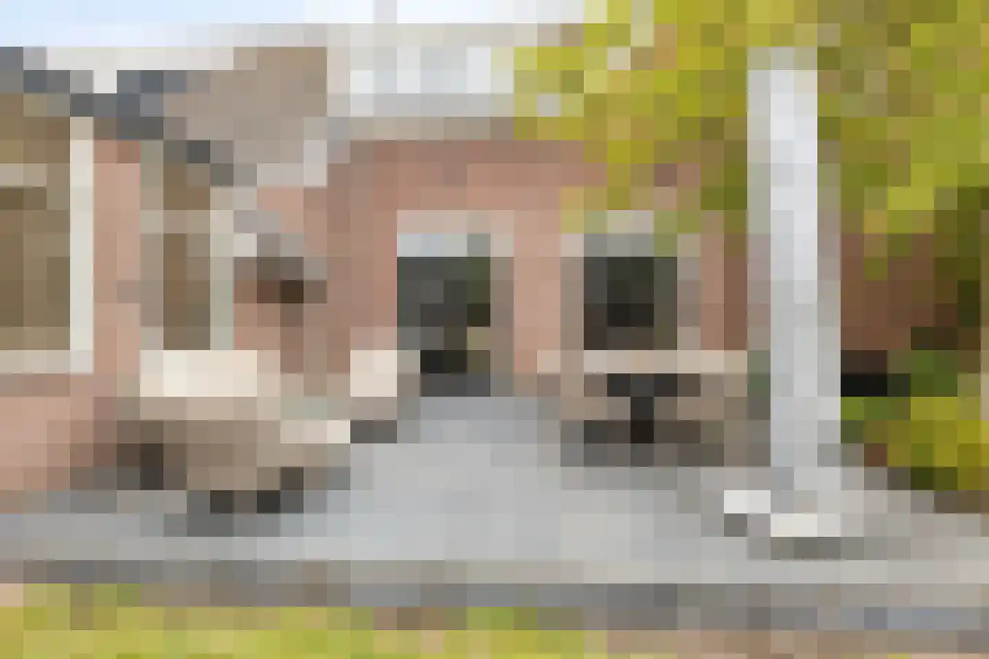 Kapelstraat 30 Elshout thumbnail 50