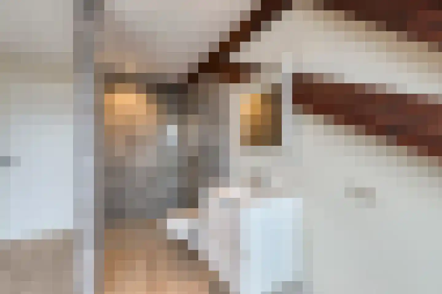 Kapelstraat 30 Elshout thumbnail 73