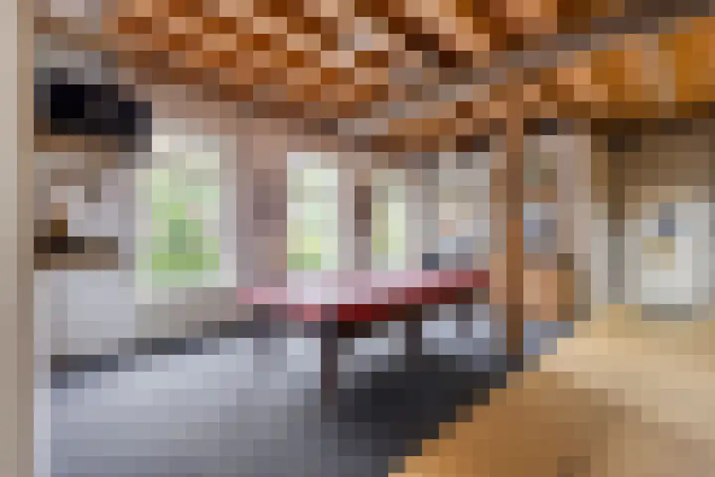 Kapelstraat 30 Elshout thumbnail 74