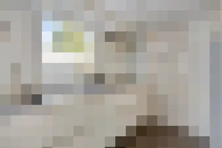 Kapelstraat 32 Tilburg thumbnail 13