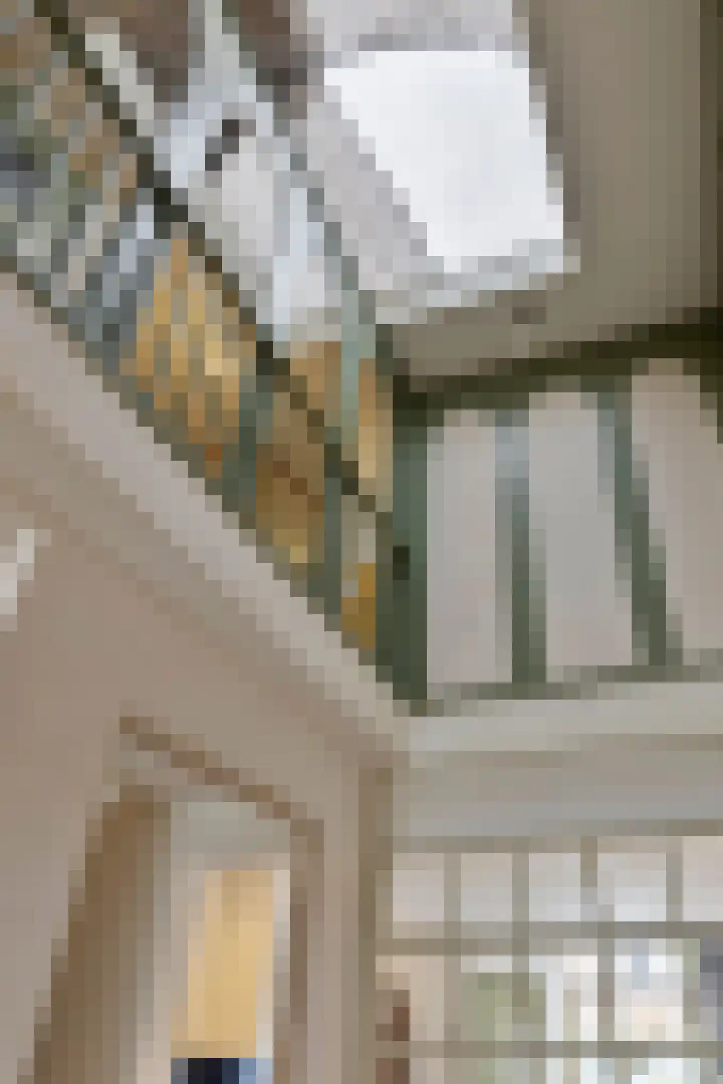 Kapelstraat 34 Heeze thumbnail 19