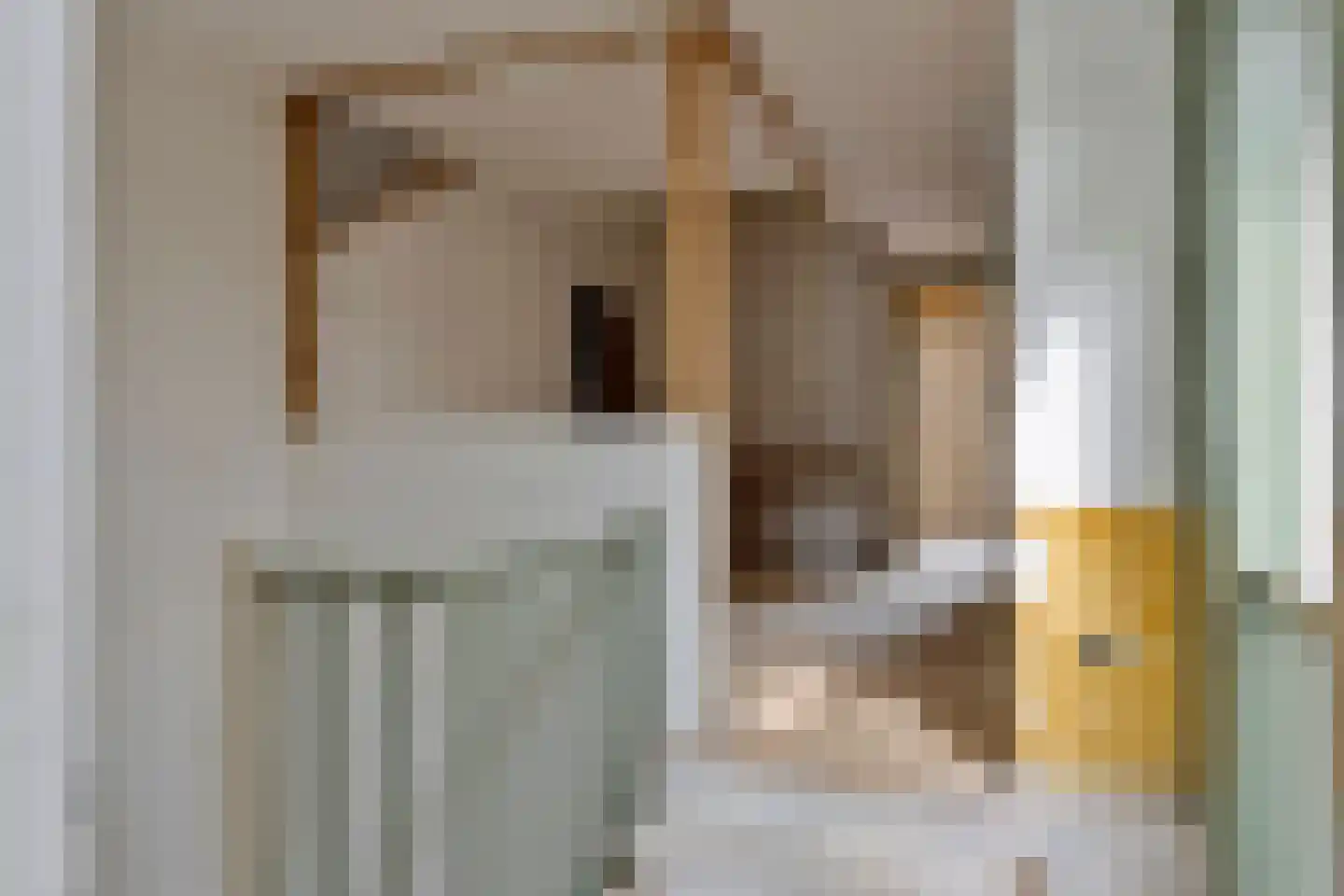 Kapelstraat 34 Heeze thumbnail 24