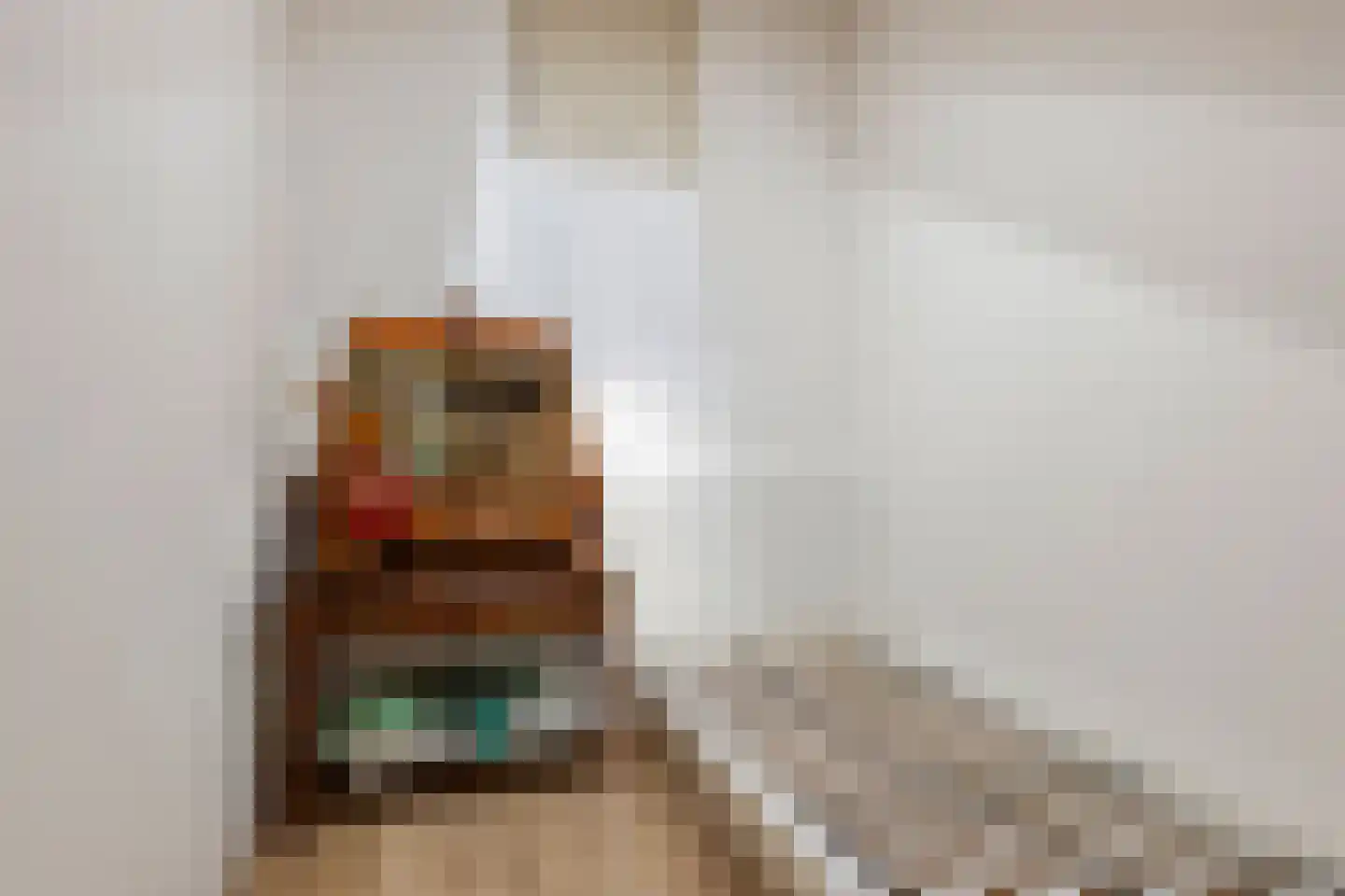 Kapelstraat 34 Heeze thumbnail 31