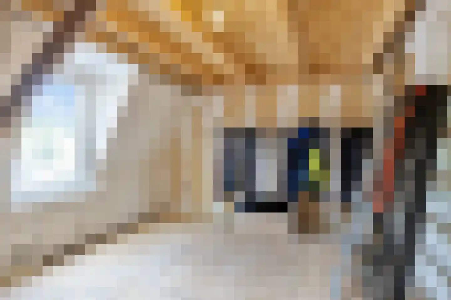 Kapelstraat 34 Heeze thumbnail 33