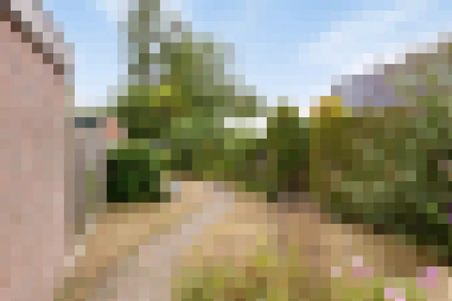 Kapelstraat 34 Heeze thumbnail 36