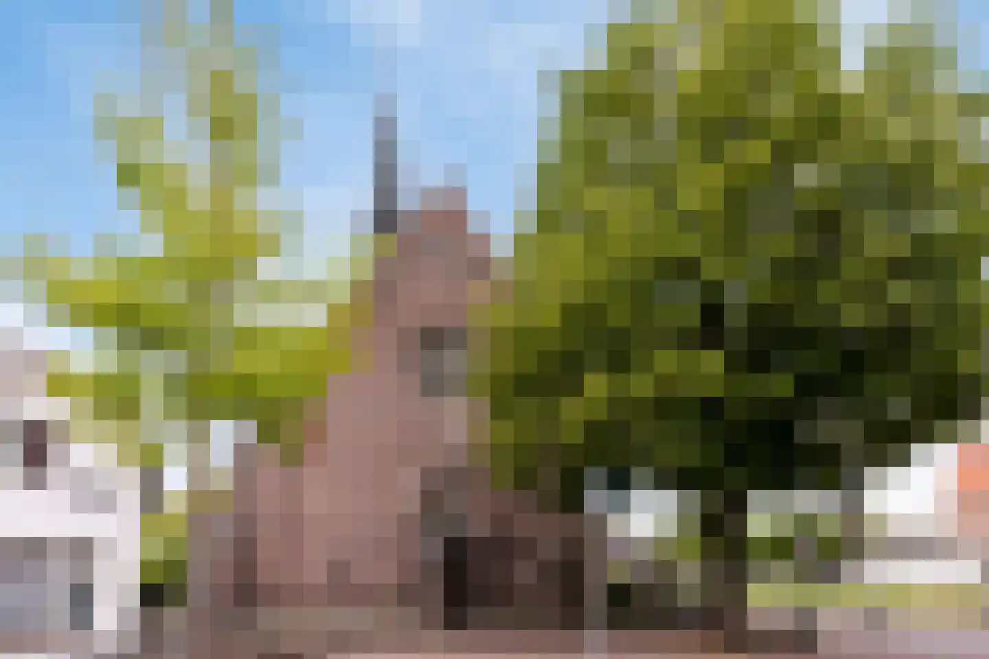 Kapelstraat 34 Heeze thumbnail 40