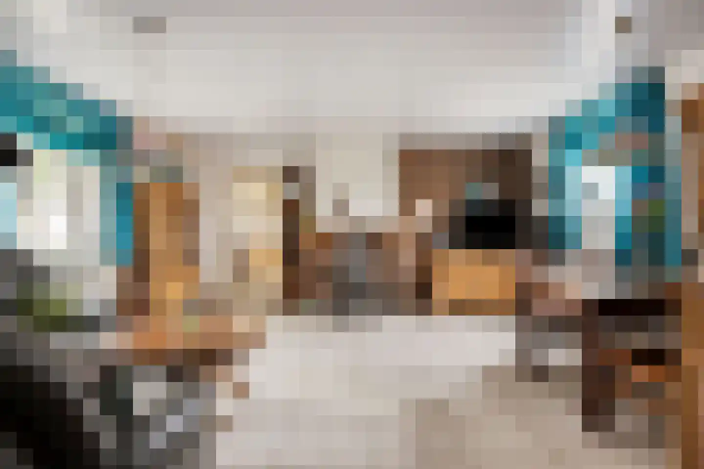 Kapelstraat 34 Lomm thumbnail 12