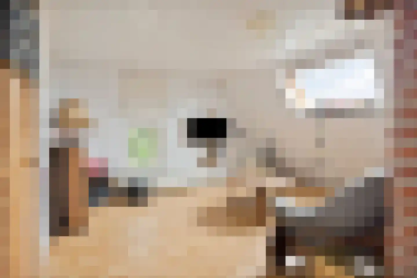 Kapelstraat 34 Lomm thumbnail 25