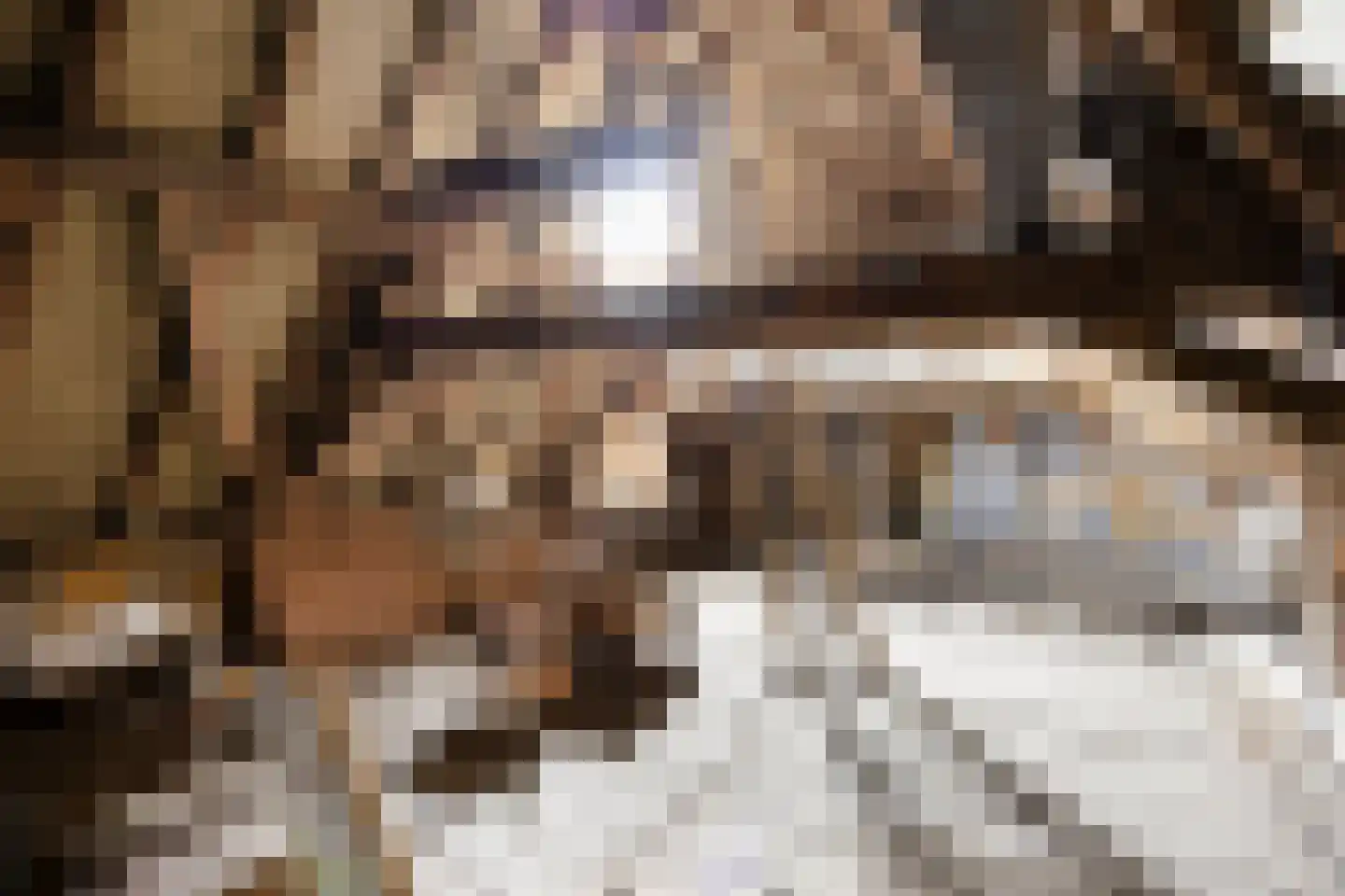 Kapelstraat 34 Lomm thumbnail 31