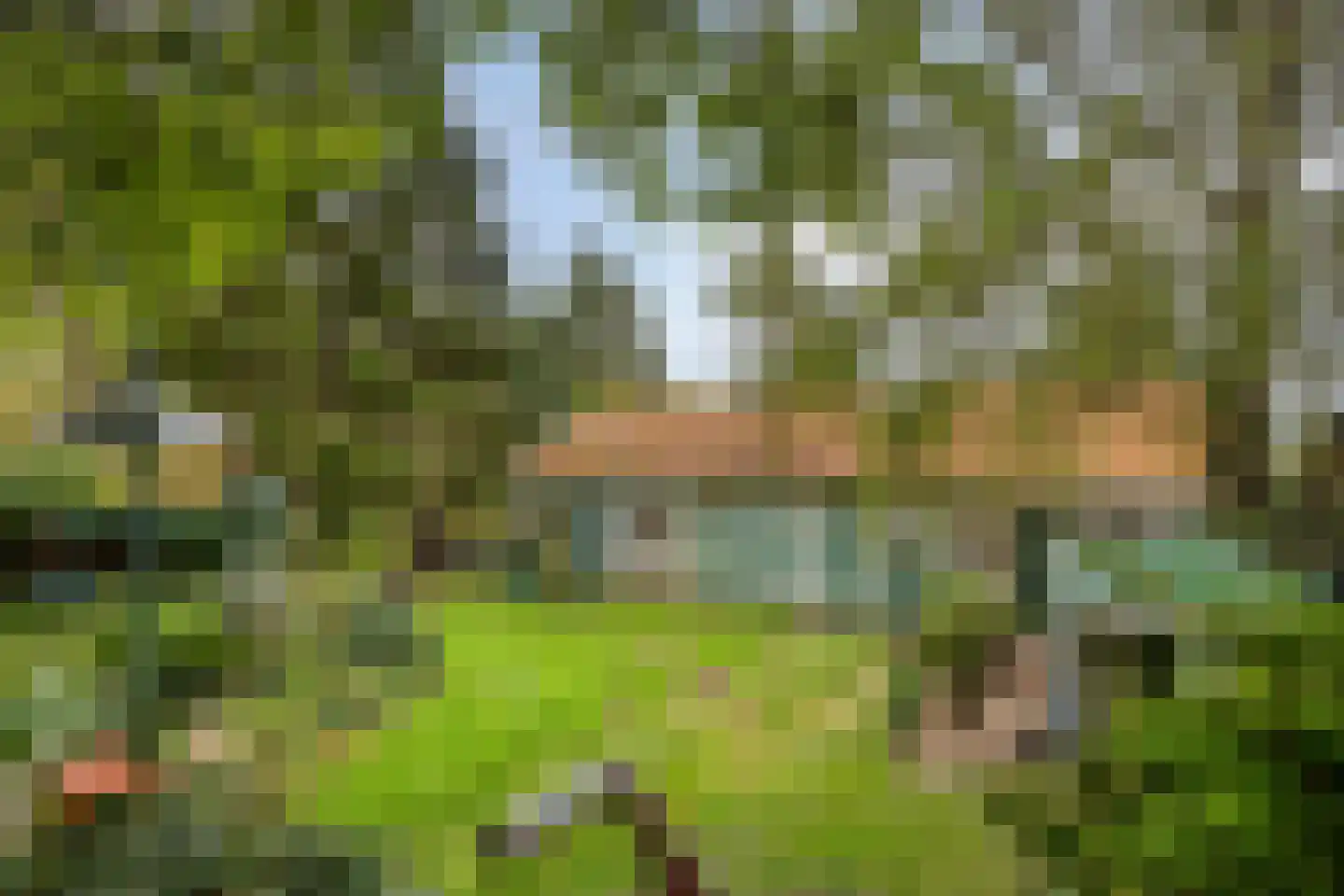 Kapelstraat 34 Lomm thumbnail 33