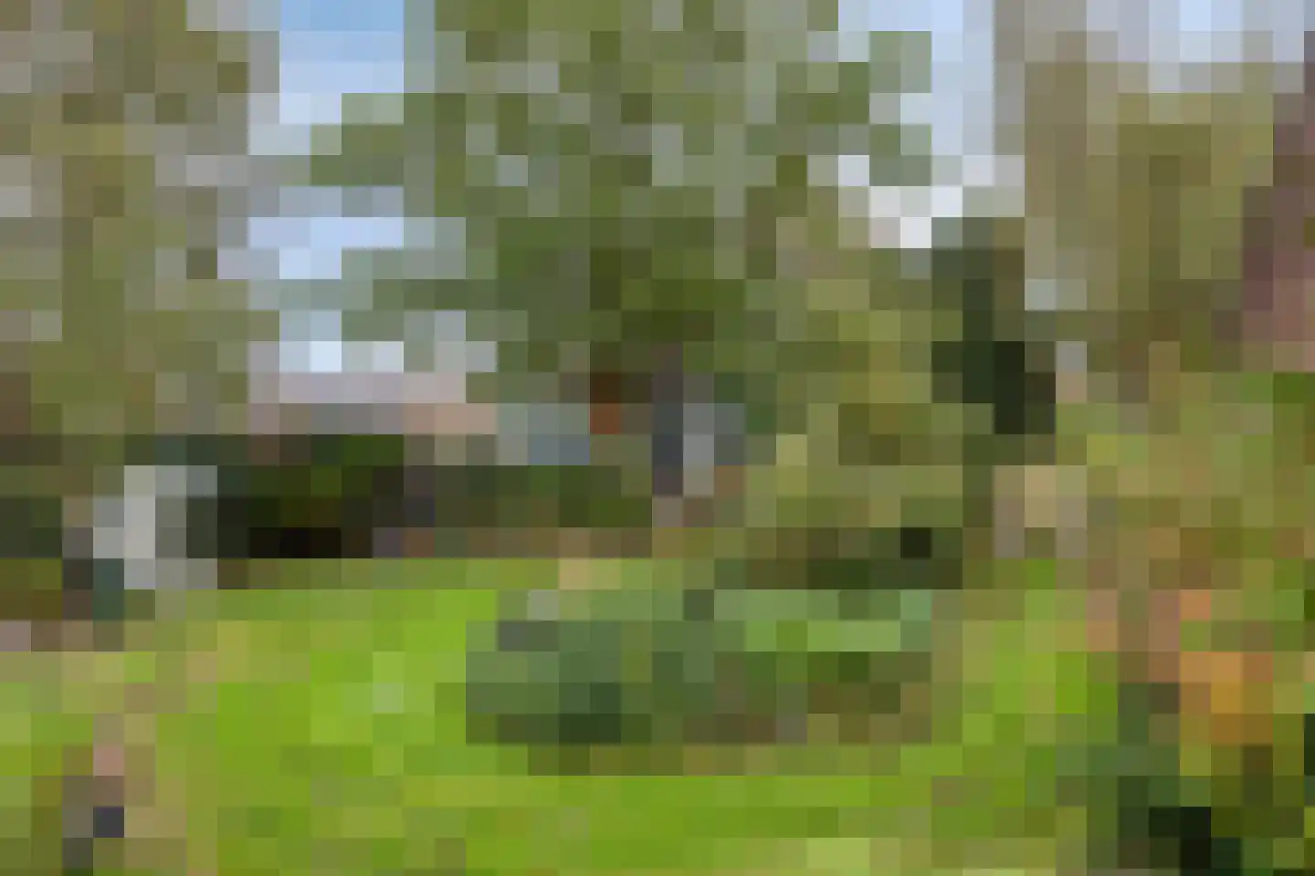 Kapelstraat 34 Lomm thumbnail 35