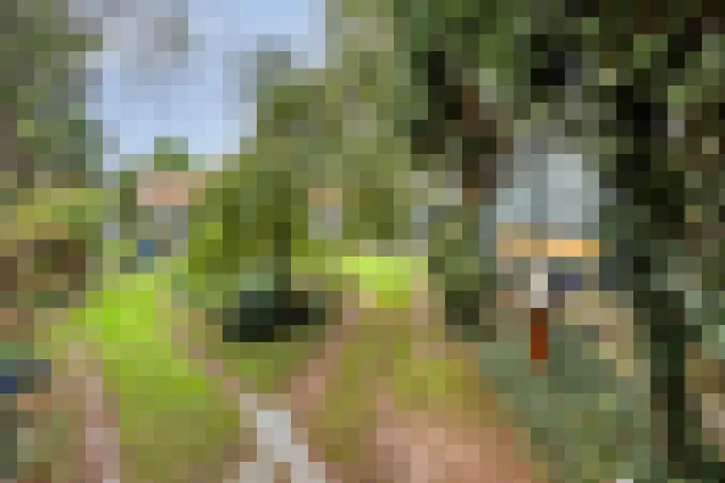 Kapelstraat 34 Lomm thumbnail 36