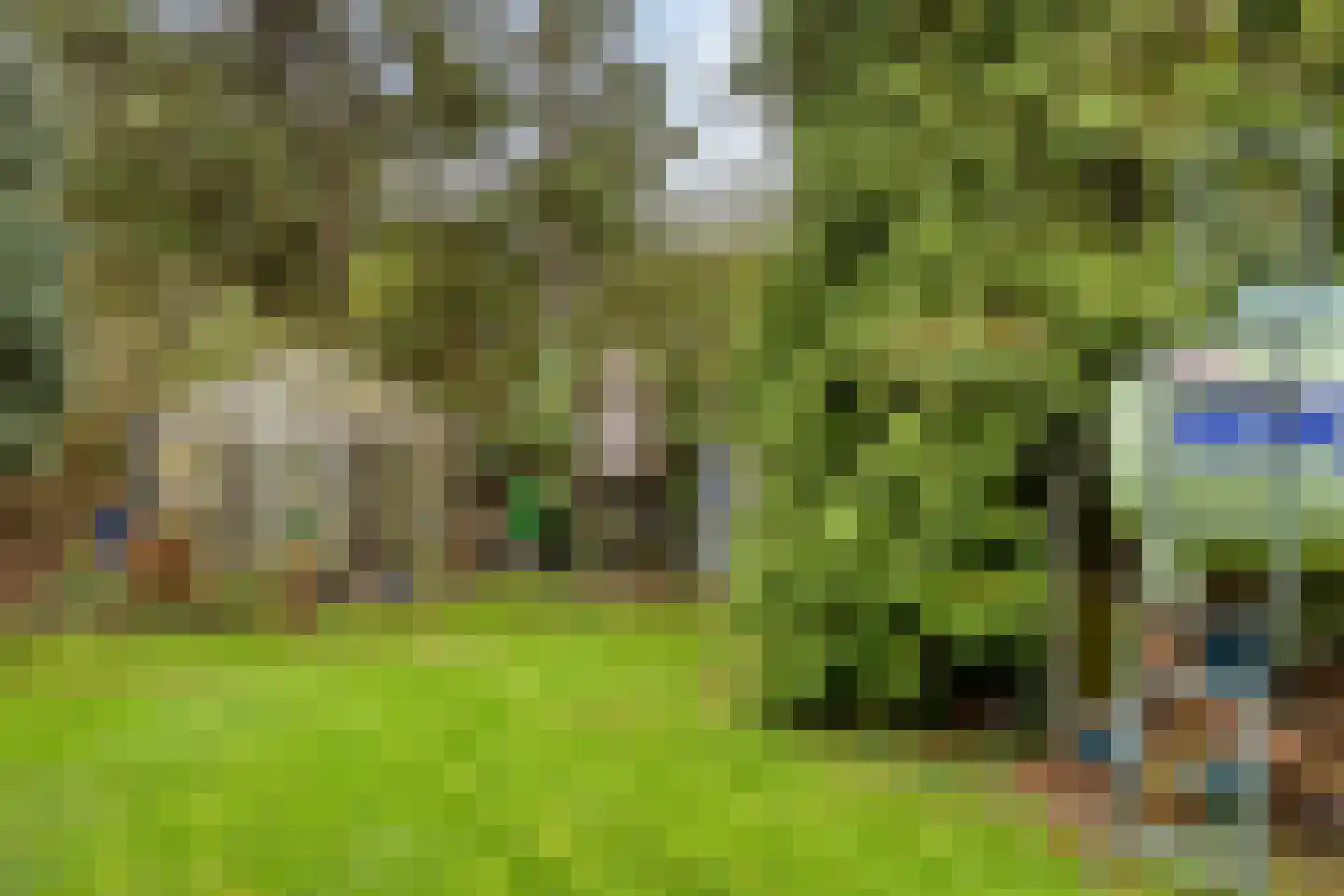 Kapelstraat 34 Lomm thumbnail 37