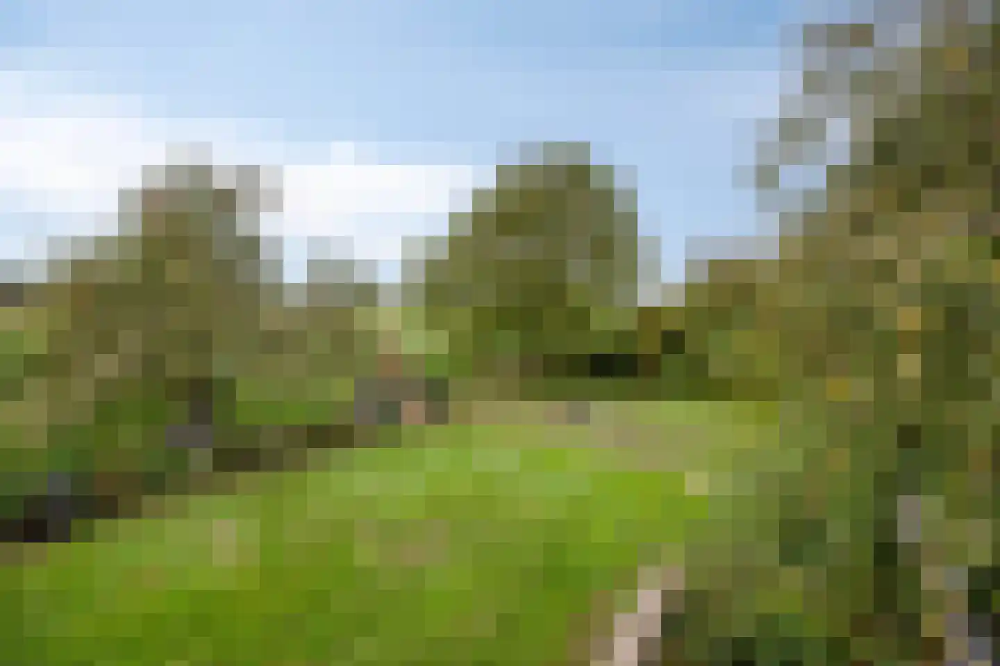 Kapelstraat 34 Lomm thumbnail 38