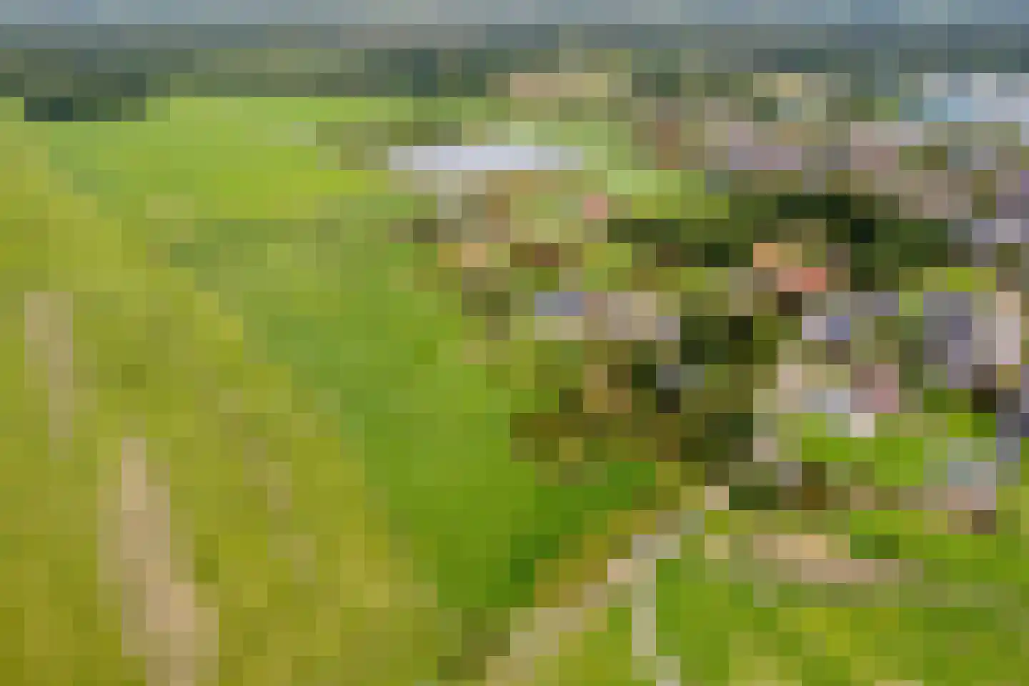Kapelstraat 34 Lomm thumbnail 39