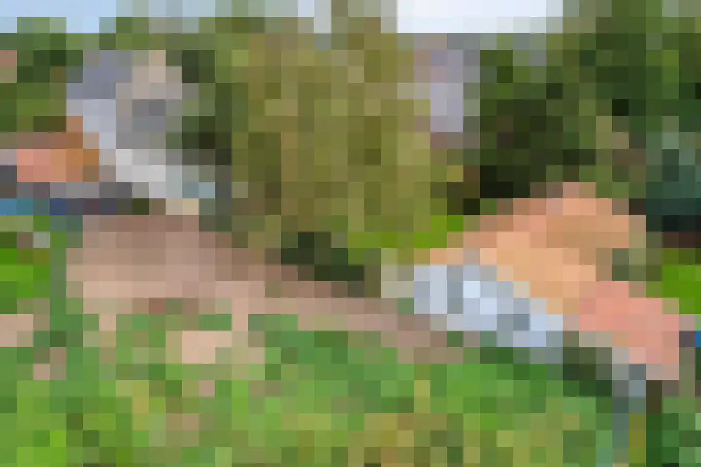 Kapelstraat 34 Lomm thumbnail 4