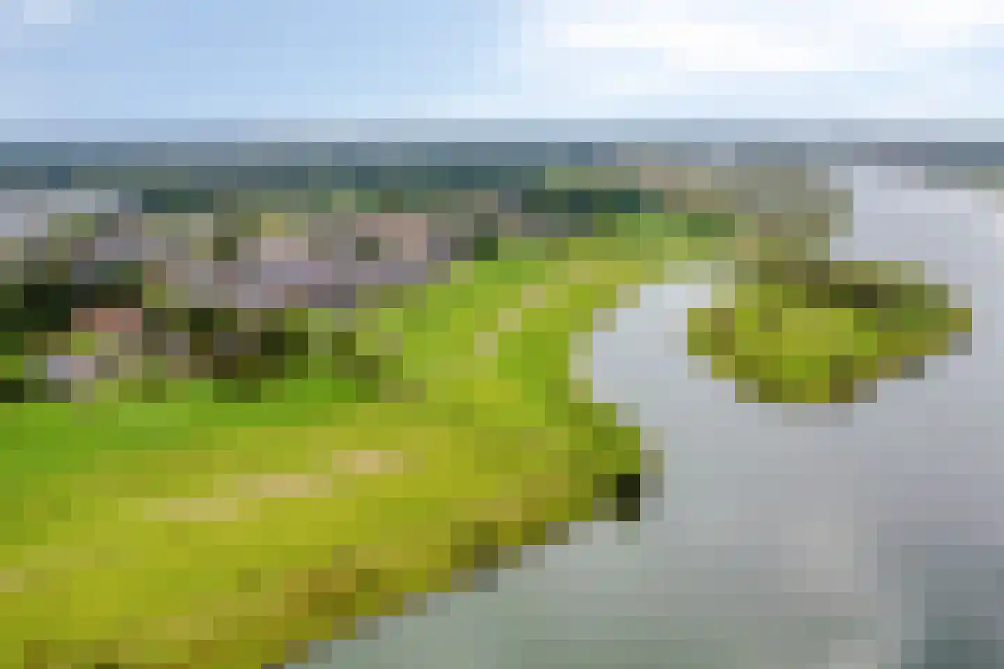 Kapelstraat 34 Lomm thumbnail 40
