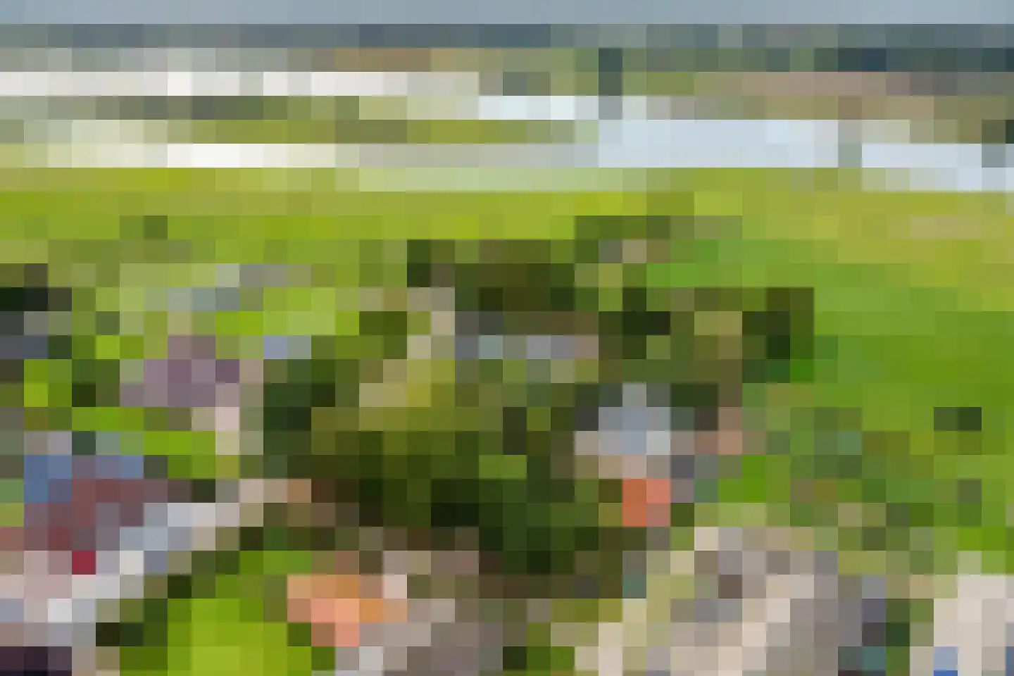 Kapelstraat 34 Lomm thumbnail 5