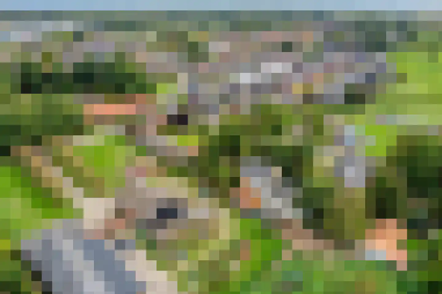 Kapelstraat 34 Lomm thumbnail 6