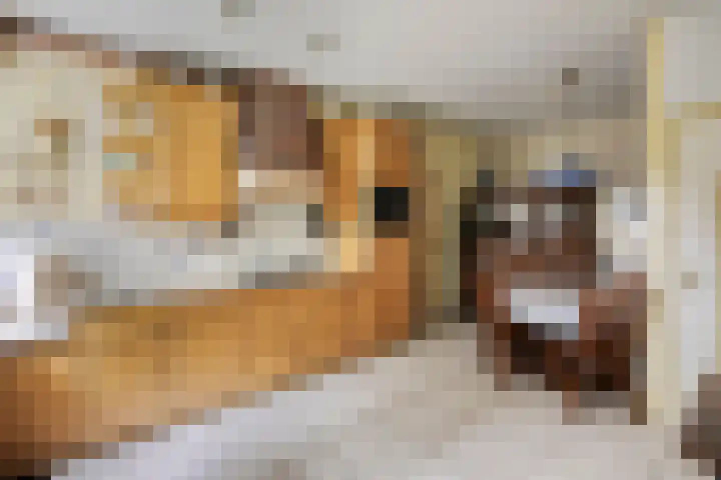 Kapelstraat 34 Lomm thumbnail 9