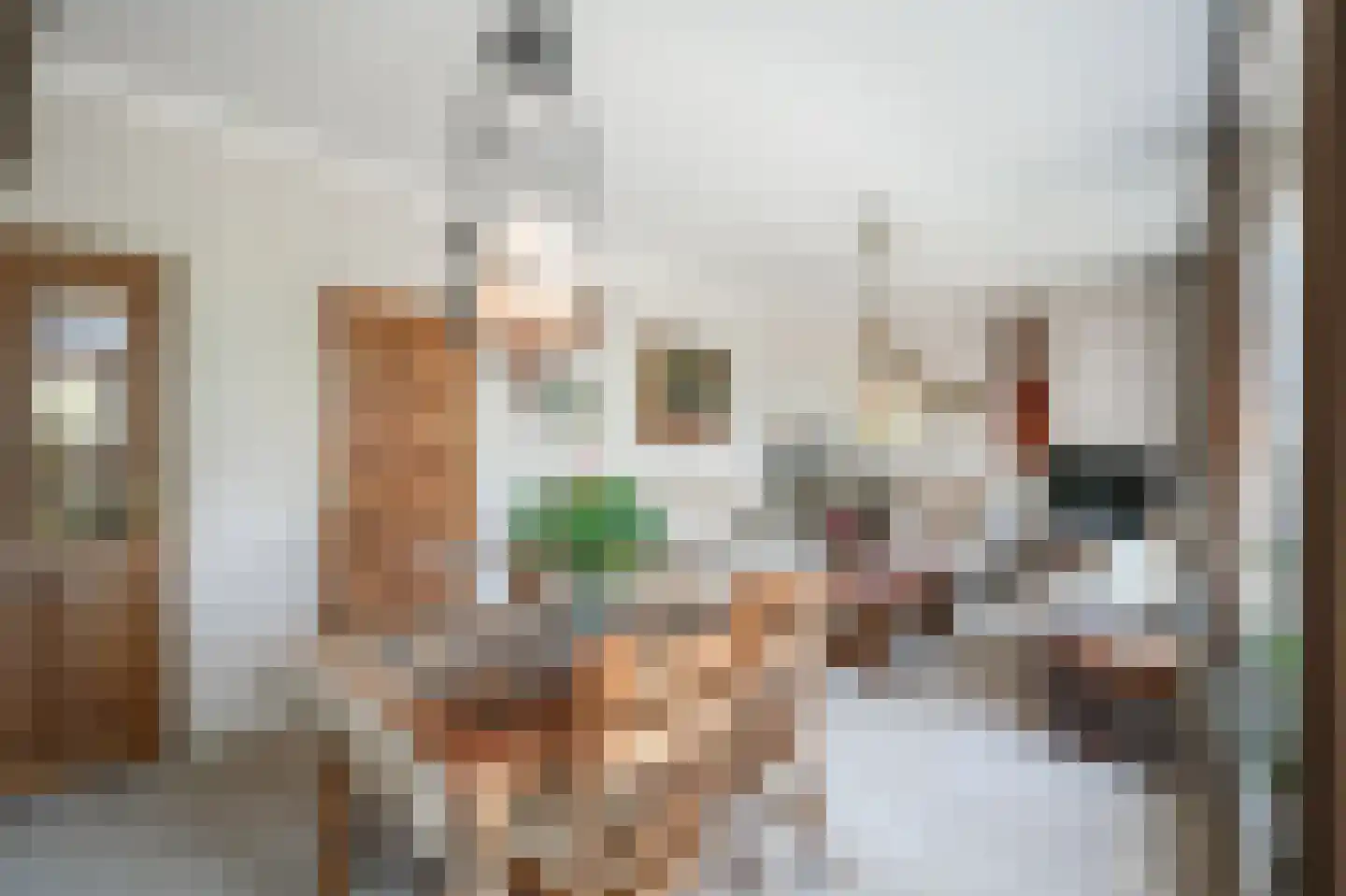 Kapelstraat 36 Beek en Donk thumbnail 13