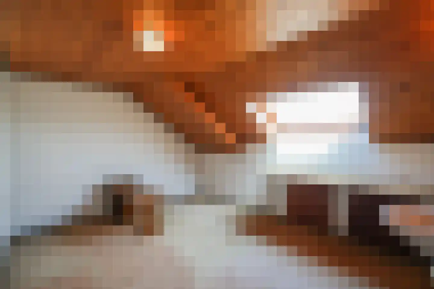 Kapelstraat 36 Beek en Donk thumbnail 19