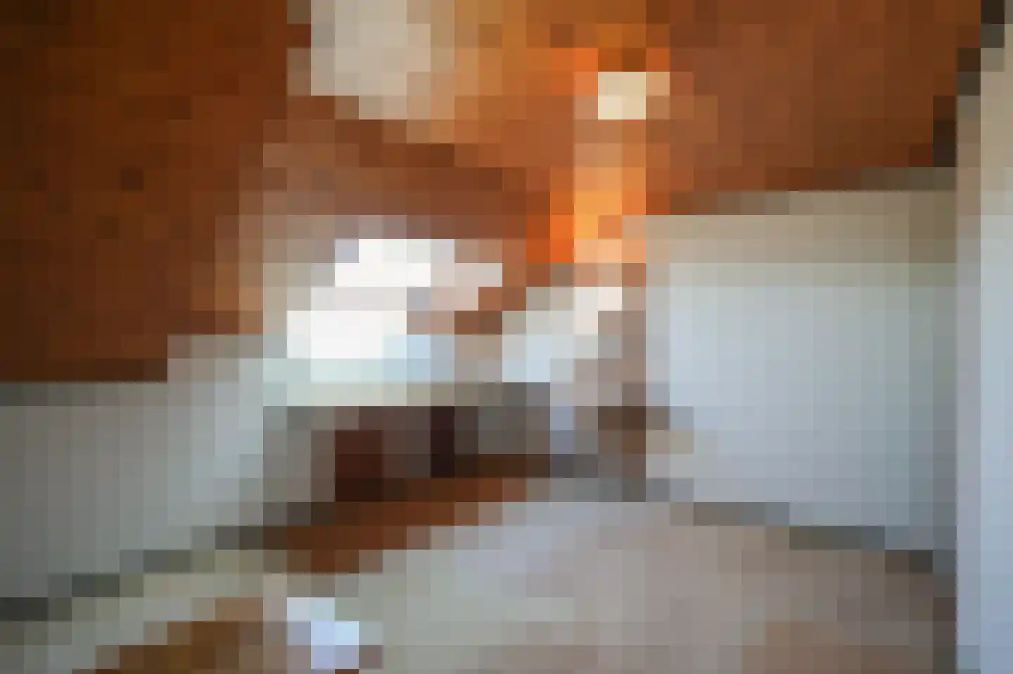 Kapelstraat 36 Beek en Donk thumbnail 20
