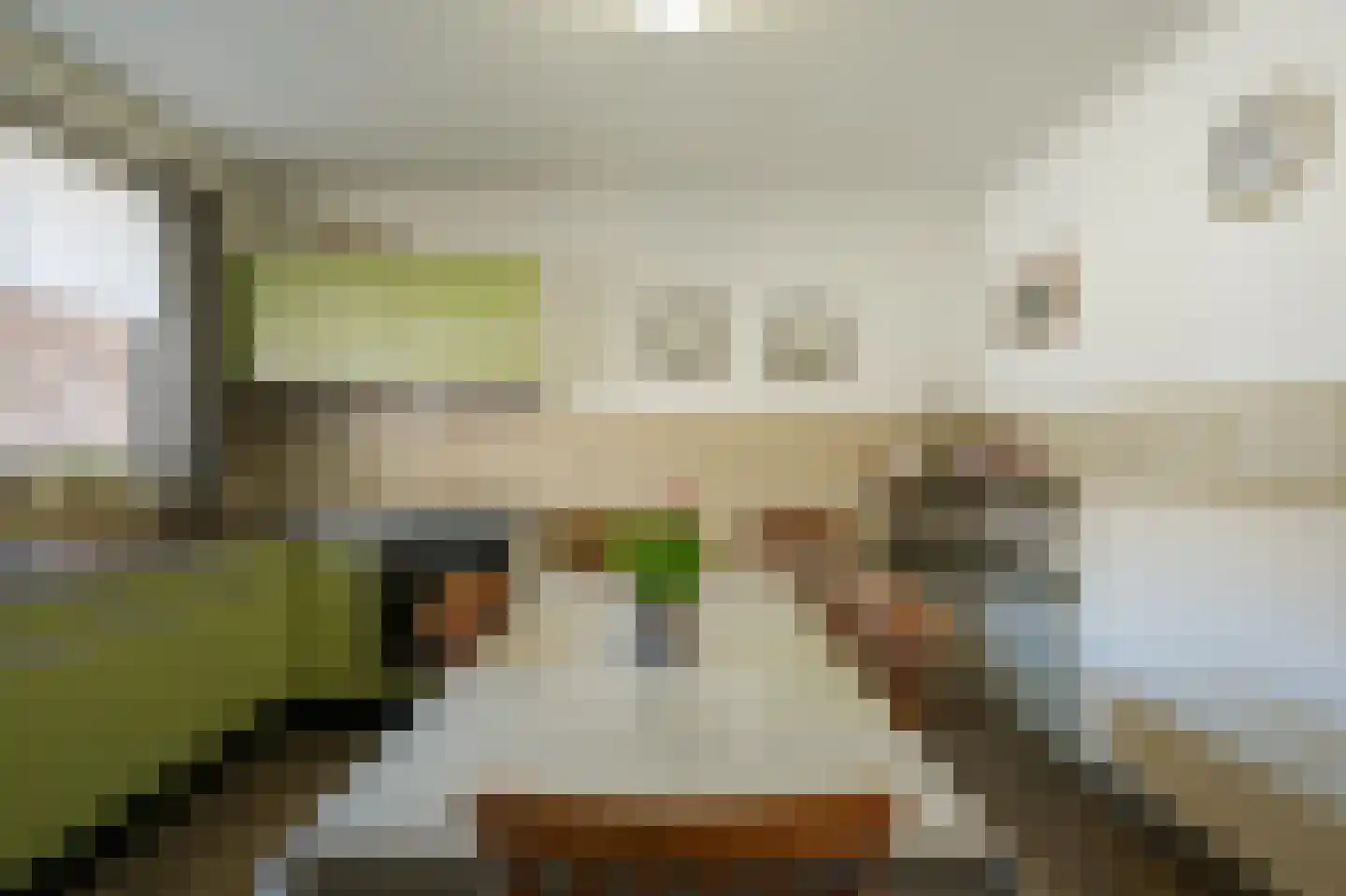 Kapelstraat 36 Beek en Donk thumbnail 34