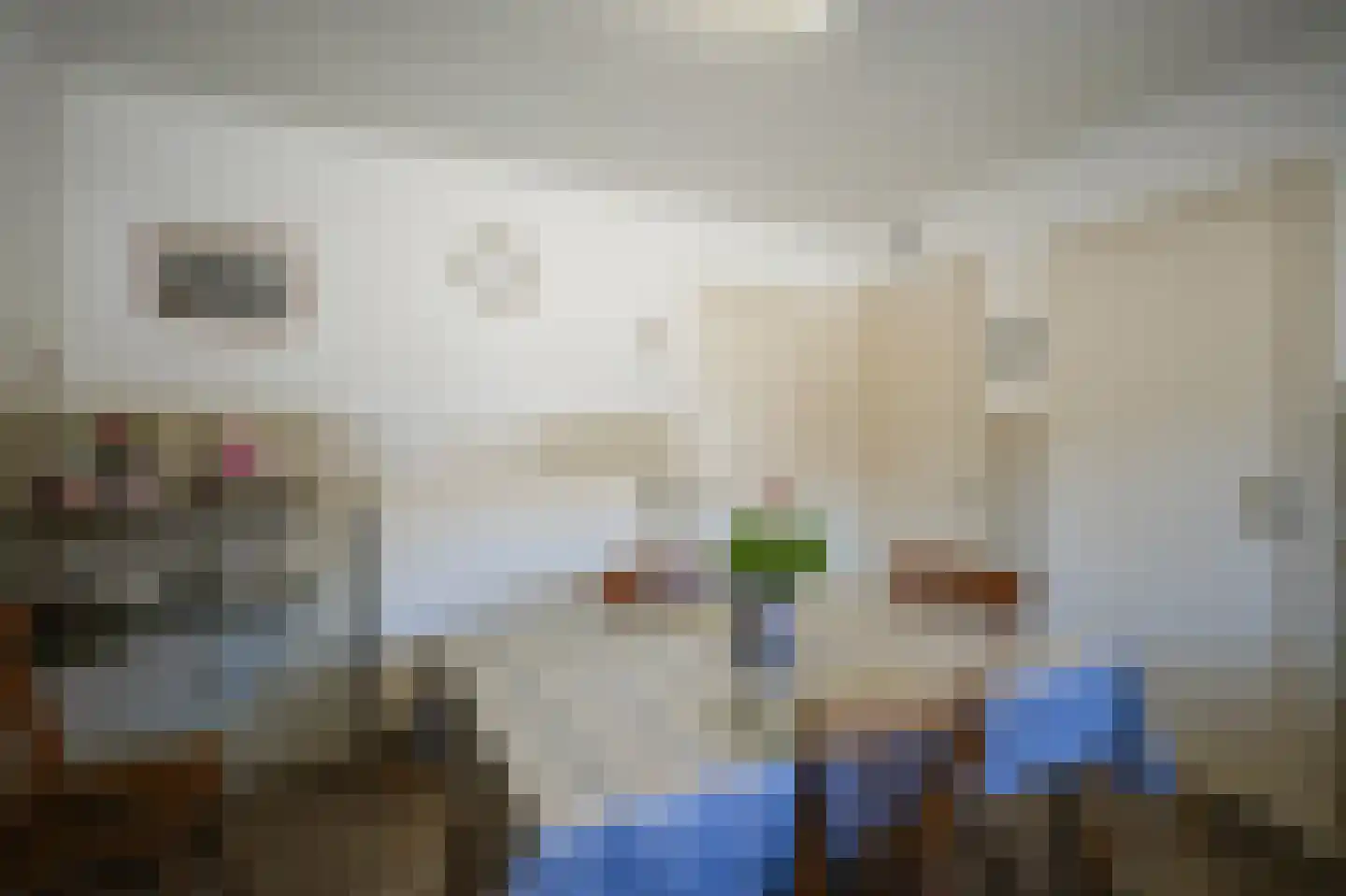 Kapelstraat 36 Beek en Donk thumbnail 35