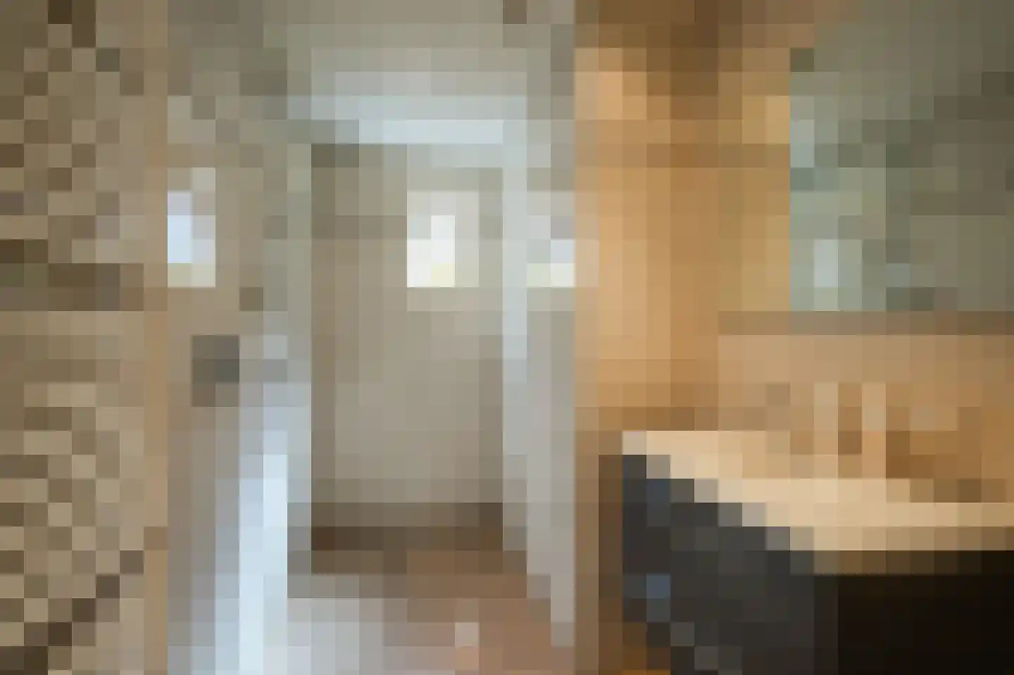 Kapelstraat 36 Beek en Donk thumbnail 37