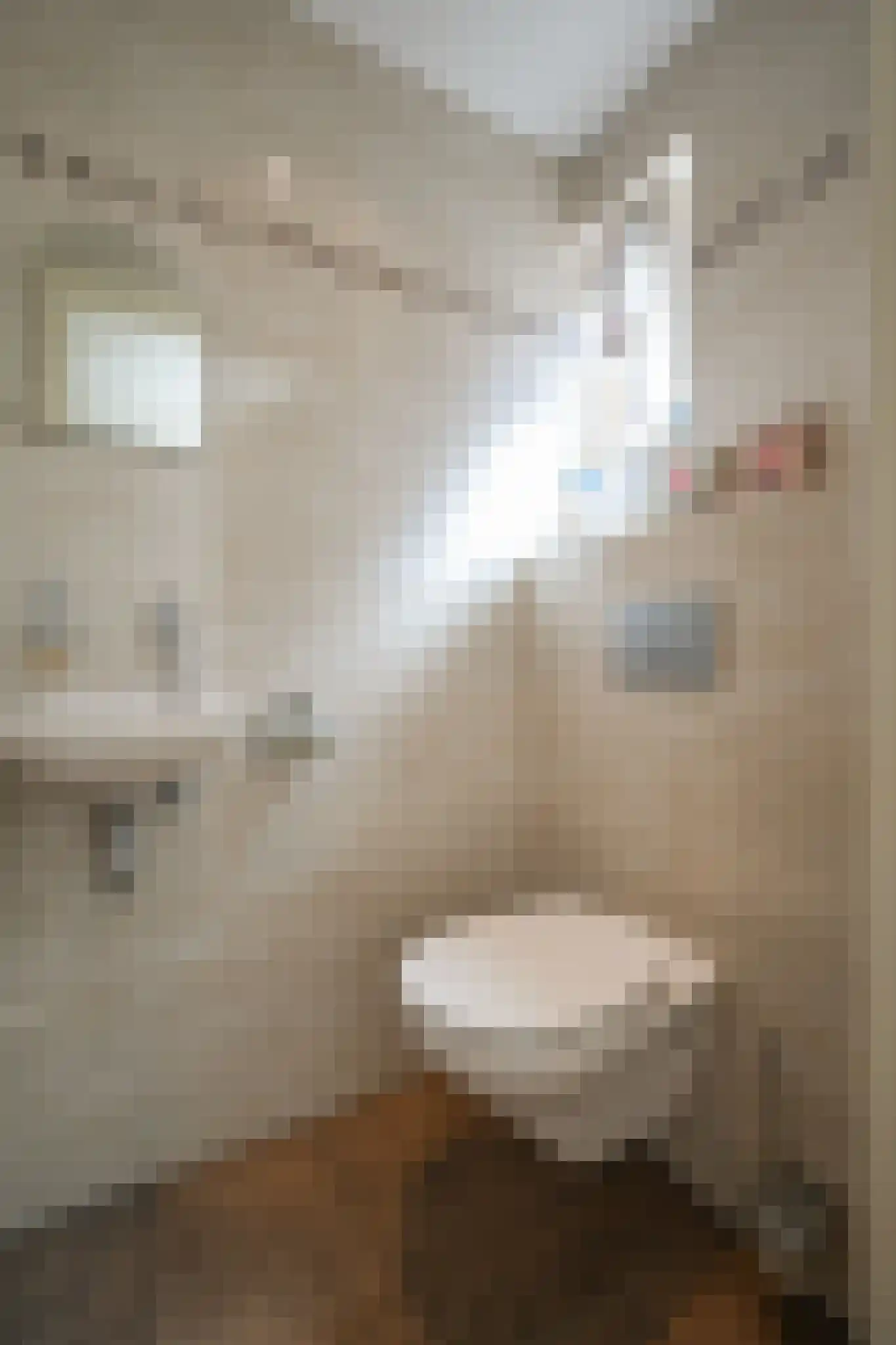 Kapelstraat 36 Beek en Donk thumbnail 38