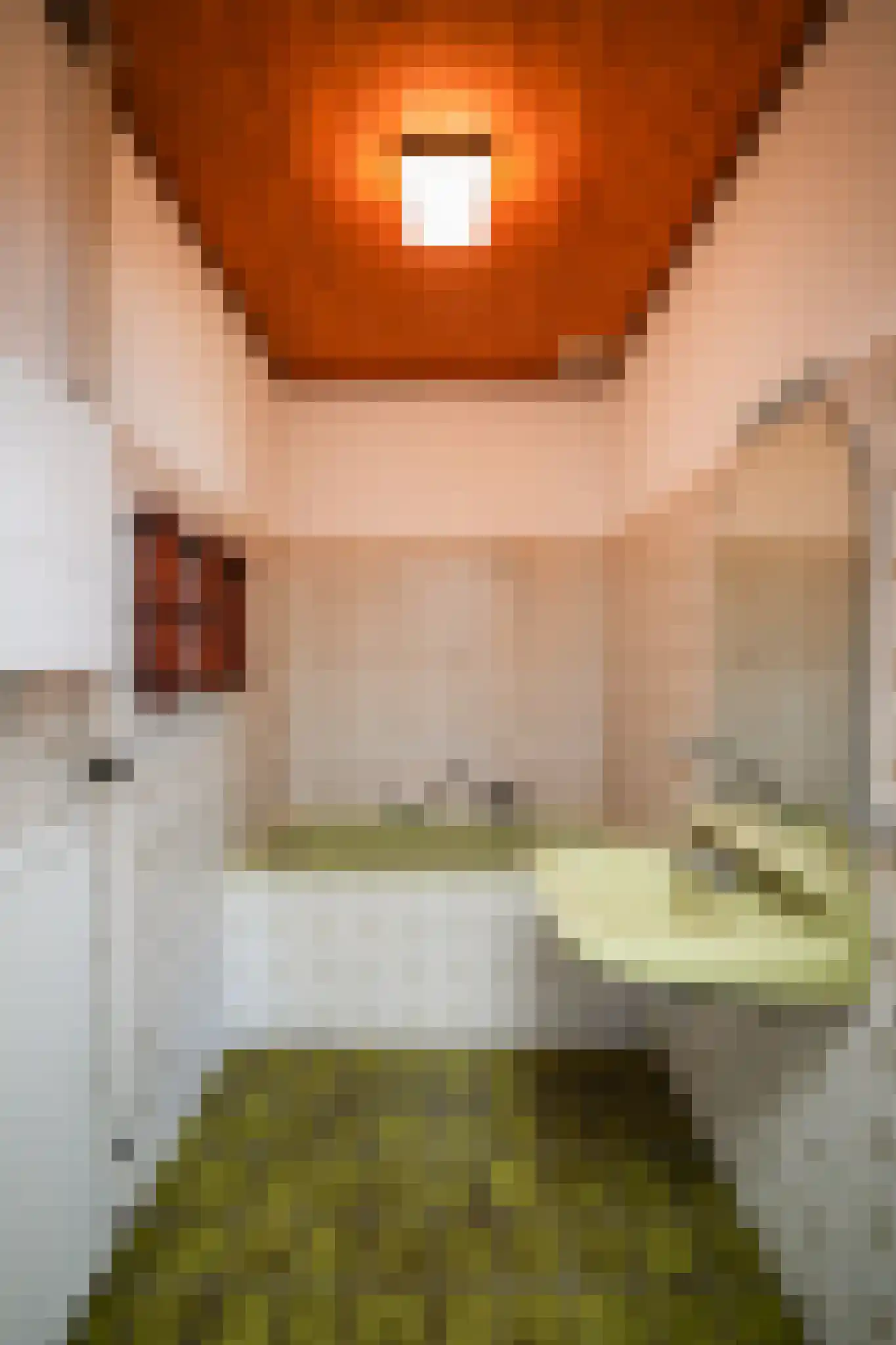 Kapelstraat 36 Beek en Donk thumbnail 48