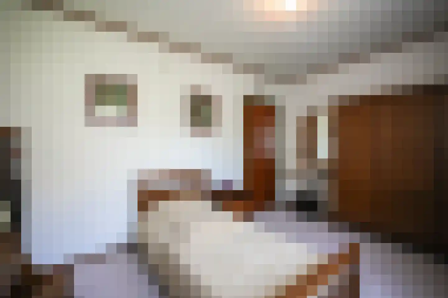 Kapelstraat 36 Beek en Donk thumbnail 53