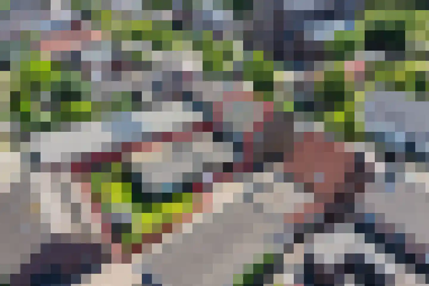 Kapelstraat 36 Beek en Donk thumbnail 61