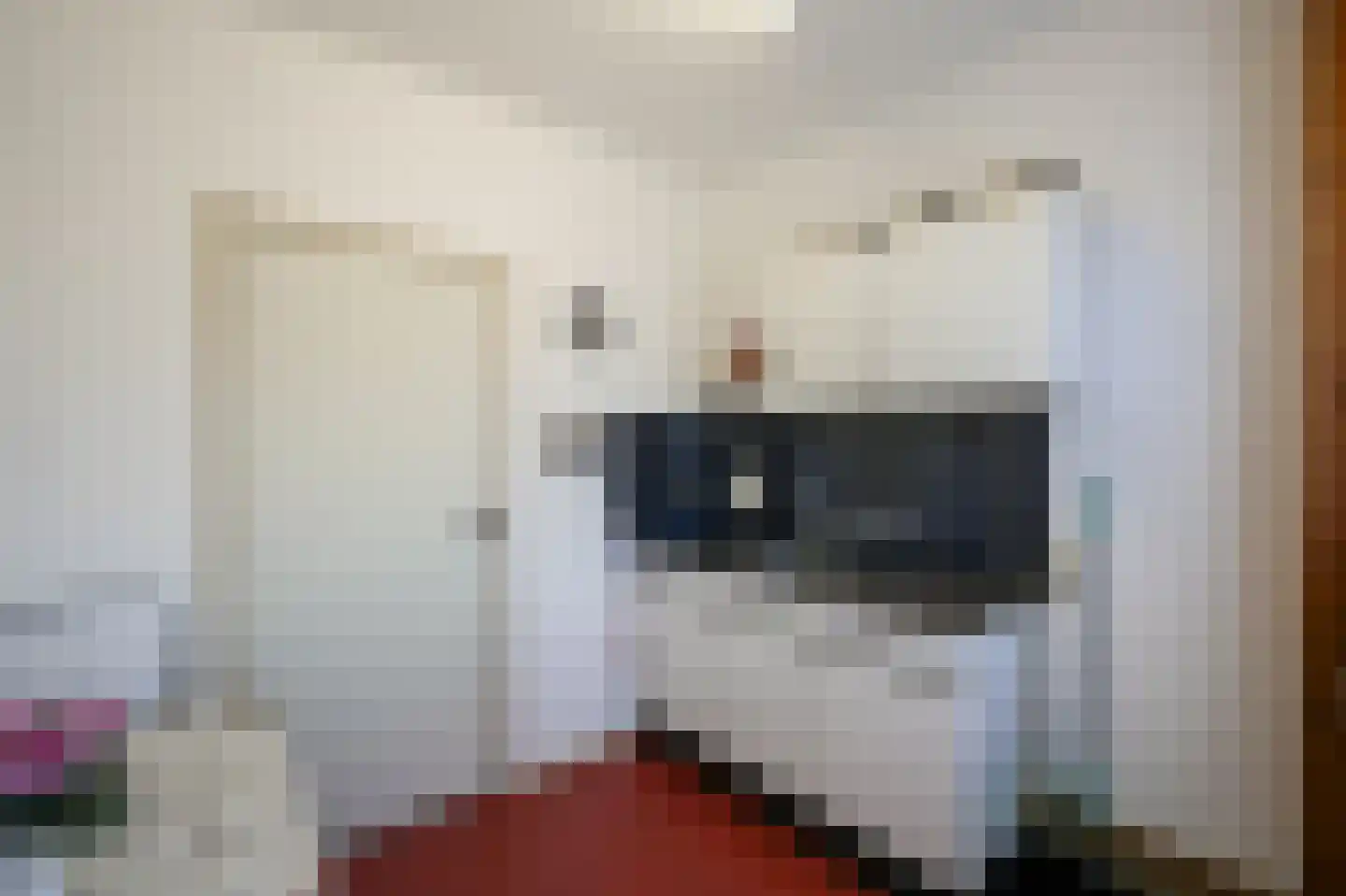 Kapelstraat 36 Beek en Donk thumbnail 7