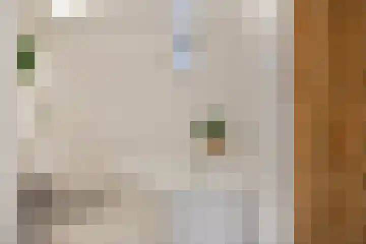 Kapelstraat 37 Rijkevoort thumbnail 22