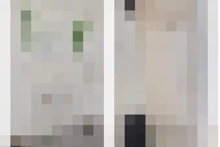 Kapelstraat 37 Rijkevoort thumbnail 23