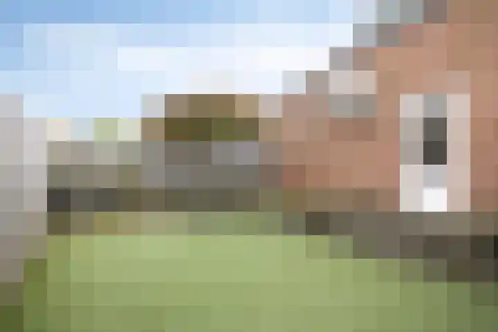 Kapelstraat 37 Rijkevoort thumbnail 26