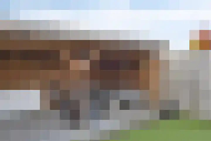 Kapelstraat 37 Rijkevoort thumbnail 30