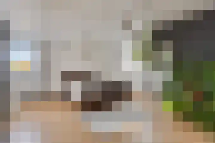 Kapelstraat 37 Rijkevoort thumbnail 32