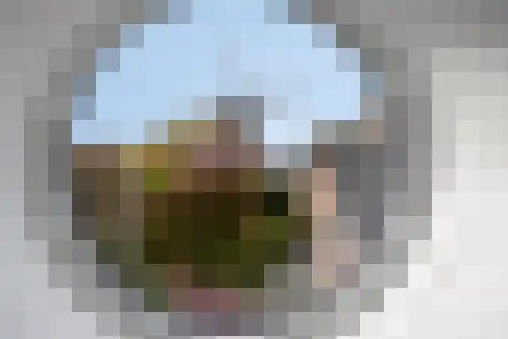 Kapelstraat 37 Rijkevoort thumbnail 63