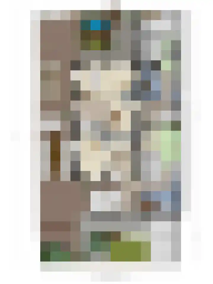 Kapelstraat 37 Rijkevoort thumbnail 68